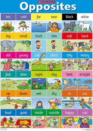 Opposites Poster Early Years Teaching Resource Scholastic