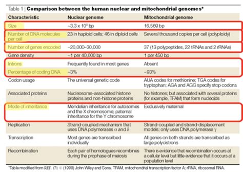 Gen Mitochondrial Genetics Flashcards Quizlet