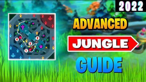 How To Jungle Like A Pro Only Jungle Guide You Need Youtube