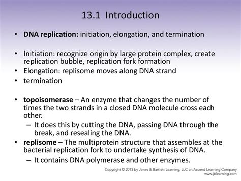 Chapter 13 Dna Replication Jocelyn E Krebs Ppt Download