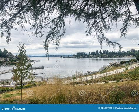 Meydenbauer Bay Park Stock Image Image Of Beach Swimming 226287933