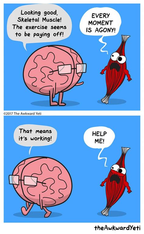 Everyday Struggles Of Our Organs In Funny Comics Awkward Yeti