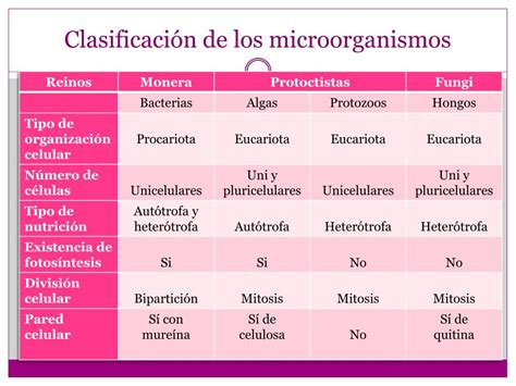 Clasificacion De Los Microorganismos Porn Sex Picture