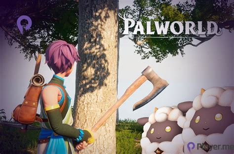 How To Get Wood In Palworld Player Me