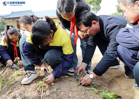 “劳动”研学课助力“五育”发展 江苏教育新闻网