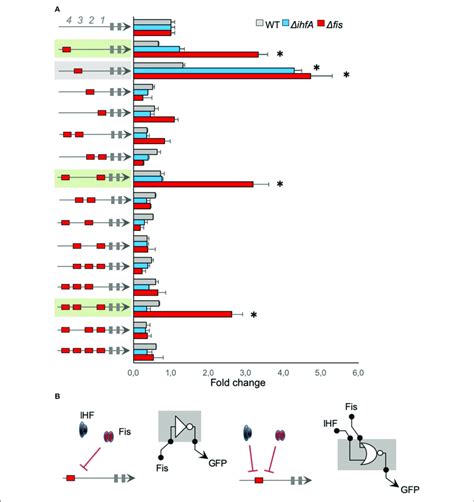 The Activity Of Promoters Harboring Fis Binding Sites A The