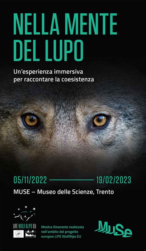 Mostra Nella Mente Del Lupo Muse Museo Delle Scienze A Trento Orari