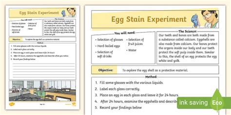 Egg Stain Experiment L Insegnante Ha Fatto Twinkl