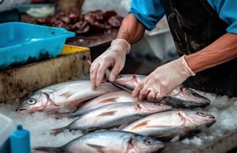 Il Pesce Va Lavato Prima Di Cucinarlo Tutto Quello Che C Da Sapere