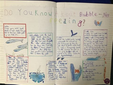 Year 5 Explanation Texts Bridge And Patrixbourne Cep School