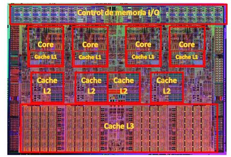 Partes de un procesador fuera y dentro conceptos básicos