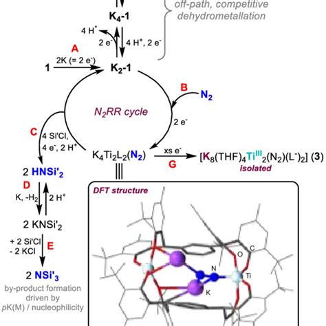 Scheme 3 Proposed Catalytic N2RR Cycle For 1 A C And The Routes To