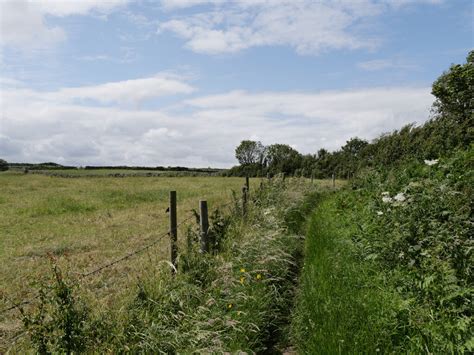 The Cleveland Way Near Beast Cliff Habiloid Cc By Sa 2 0 Geograph