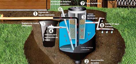 Diferencias Entre Biodigestores Y Fosas S Pticas Blog