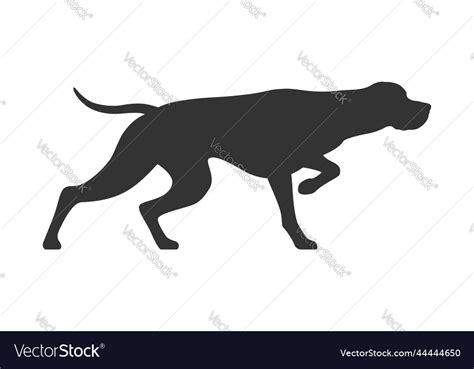 Pointer dog Royalty Free Vector Image - VectorStock