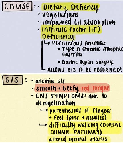 BIO 322 Exam 2 Flashcards Quizlet