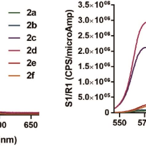 Synthesis Of L Tyrosine Derivatives Bearing Fluorescent Tetrazine