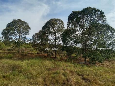 Negeri Sembilan Freehold Agricultural Land Durian Musang King