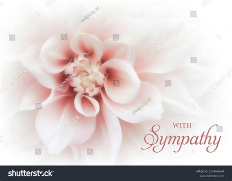 Sympathy Card Background Royalty-Free Images, Stock Photos & Pictures ...