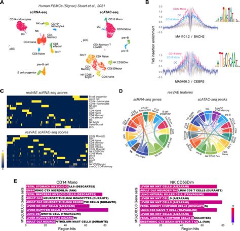 Frontiers Resvae Ensemble Unsupervised Identification Of Gene Sets