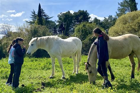 Journ E Equicoaching Pour Les Ans Confiance En Soi Et Estime De