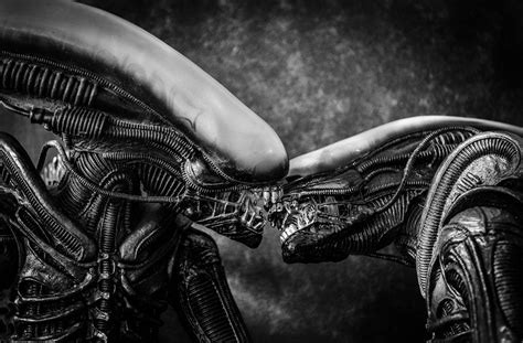 Wallpaper Digital Art Sculpture Statue Xenomorph Darkness