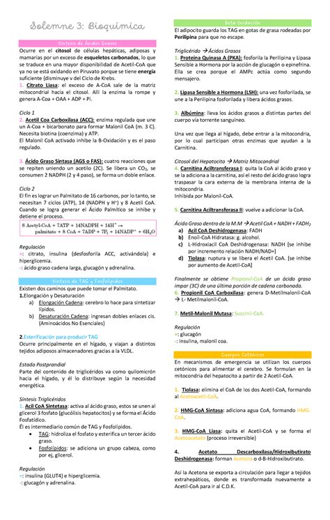 Resumen Solemne 3 Bioquímica Solemne 3 Bioquímica Síntesis de Ácidos