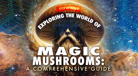 Exploring The World Of Magic Mushrooms A Comprehensive Guide Blogs