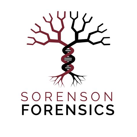 Sorenson Forensics | Draper UT