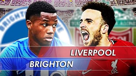 Prediksi Brighton Vs Liverpool Di Liga Inggris Preview Susunan Pemain