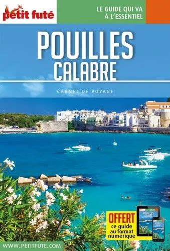 GUIDE POUILLES 2016 Carnet Petit Futé EUR 3 99 PicClick FR