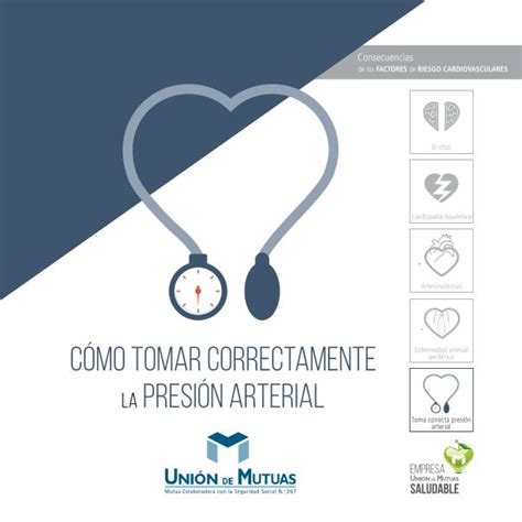 Pdf C Mo Tomar Correctamente La Presi N Arterial