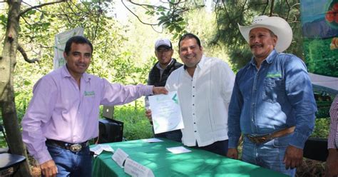 Certifican A Productores De Aguacate Y Lim N De Los Altos De Morelos