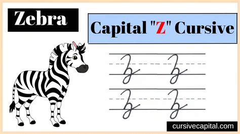 How To Write Capital Z In Cursive Capital Cursive Z