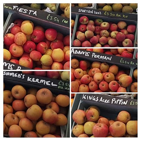 Go Naked Veg Explore Oban