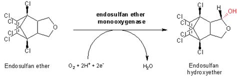 Eawag Bbd Reaction Reacid R1413