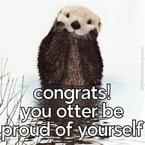 Otter Congrats Meme | 65 Best Work Anniversary Memes