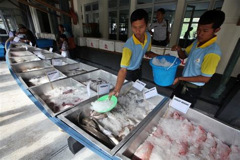 KONSUMSI IKAN Tingkat Konsumsi Warga Jogja Masih Rendah Solopos