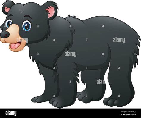 Vector illustration of Honey bear cartoon Stock Vector Image & Art - Alamy