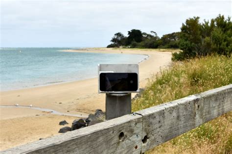 How You Can Help Scientists Monitor Our Beaches Pursuit By The