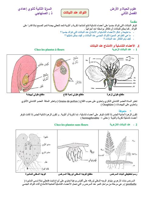 التوالد عند النباتات الدرس 1 Alloschool