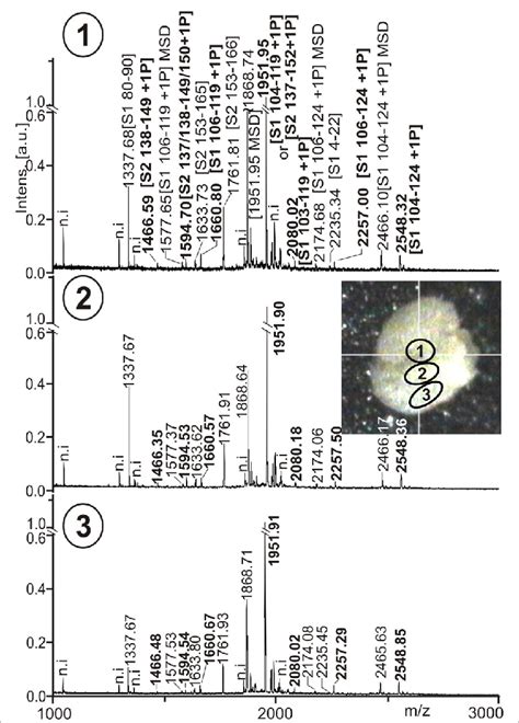 Maldi Tof Mass Spectra Of A Casein Derived Peptides Upon Tryptic