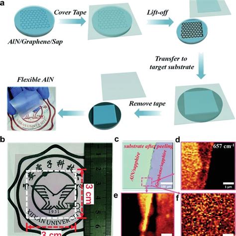 The Growth Of Highquality And Flexible Aln Films On Graphene A