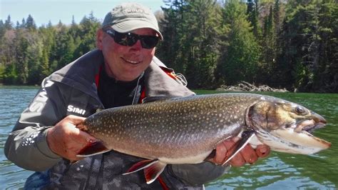 Pound Algonquin Park Brook Trout Youtube