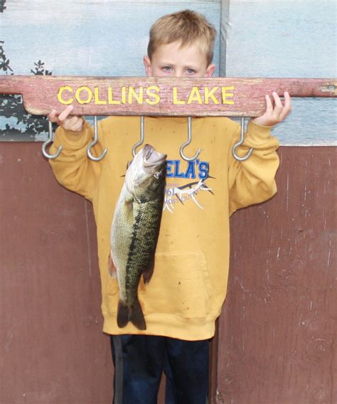 Collins Lake Fish Report Collins Lake Collins Lake Fishing Report