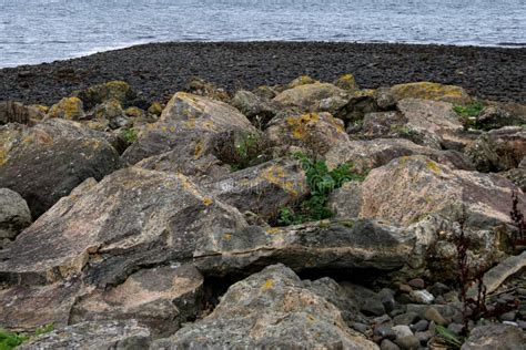 Rocks on a Coastal Shingle Beach Stock Image - Image of geological ...