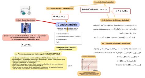 Carte MENTALES En SPECIALITES SPC Term Site Ellasciences De Sciences