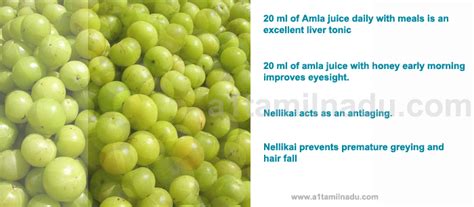 health benefits  indian gooseberry nellikai amla amla