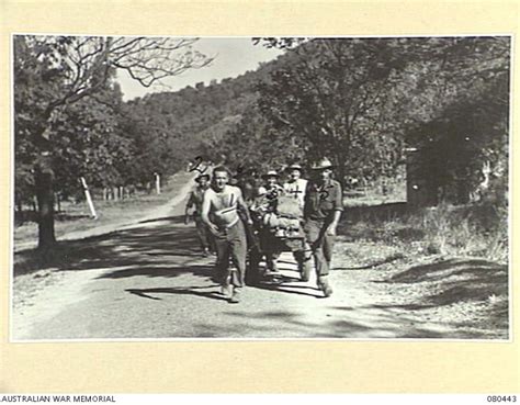 TRINITY BEACH AREA QUEENSLAND 1944 09 11 THE PIONEER PLATOON 2 24TH