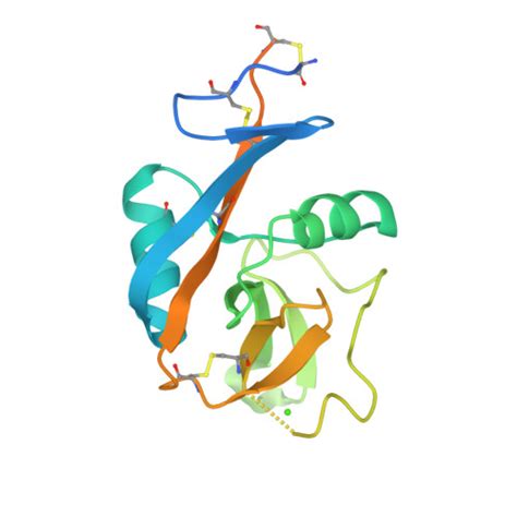 RCSB PDB - 2H2T: CD23 Lectin domain, Calcium 2+-bound